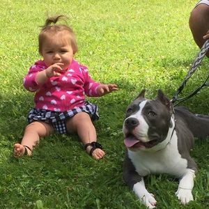 Meet your Posher, Tita