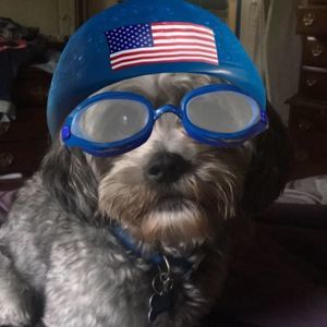 Meet your Posher, Kristen