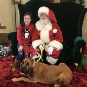 Meet your Posher, Dot