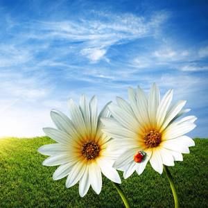 Meet your Posher, Cynthia