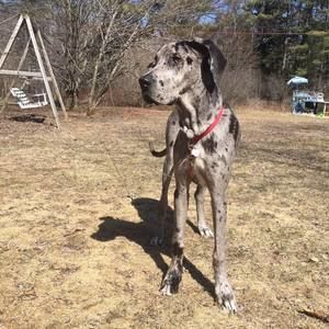 Meet your Posher, Tamika