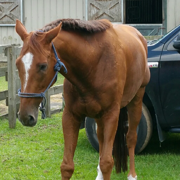 💎 Meet your Posher, Linda 💎 - Picture 3 of 4