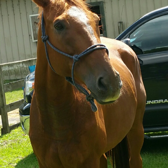 💎 Meet your Posher, Linda 💎 - Picture 4 of 4