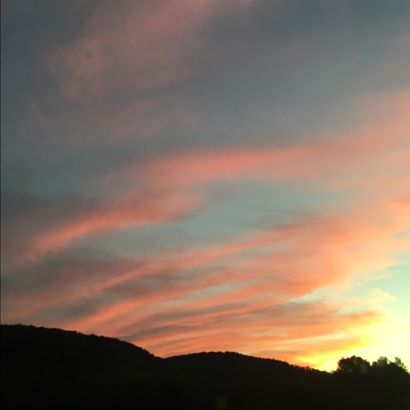 Meet your Posher, Grace - Picture 1 of 1