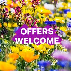 🌸 offers welcome 🌸