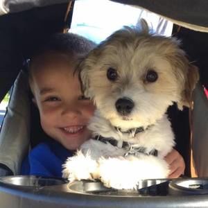 Meet your Posher, Cari