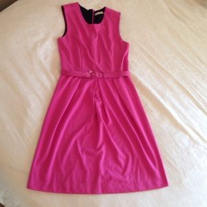 Banana Republic Pink Belted Dress size 6