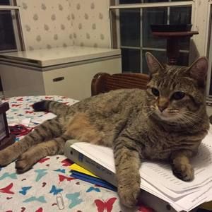 Meet your Posher, Angela