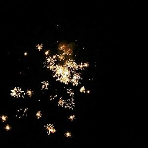 Meet your Posher, Brandi