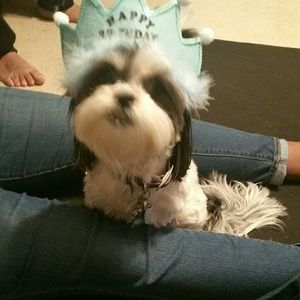 Meet your Posher, Carmen