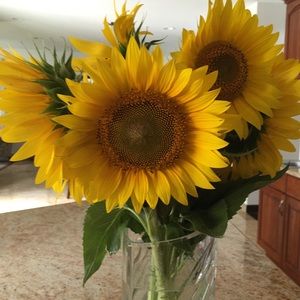 Meet your Posher, Maria