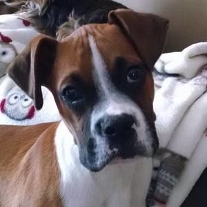 Meet your Posher, Cathy