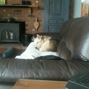 Meet your Posher, Nancy