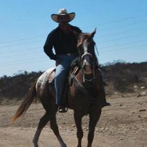 Meet your Posher, Juan