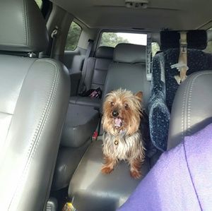 Meet your Posher, Shana