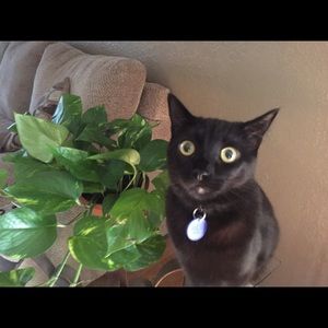 Meet your Posher, Denise