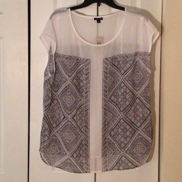 White and Navy Sheer Cap-Sleeve L Ann Taylor Top - Picture 1 of 4