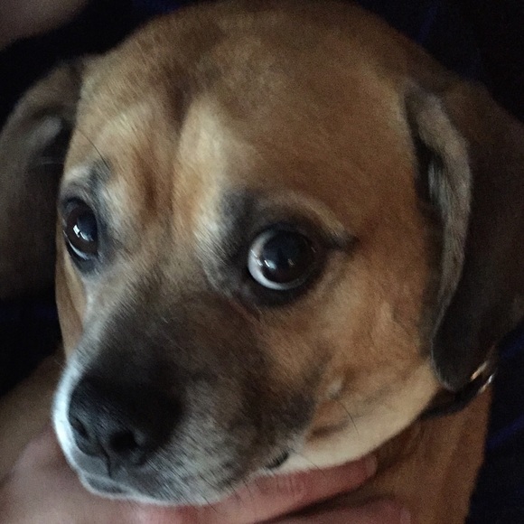 Meet your Posher, Lindsey