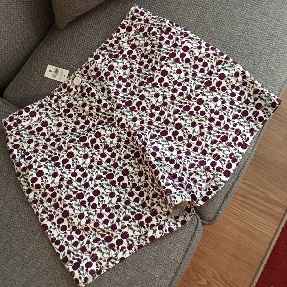 NWT LOFT 6" Inseam Shorts