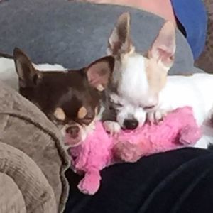 Meet your Posher, Kathy terry