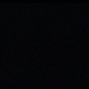 Meet your Posher, Frankie