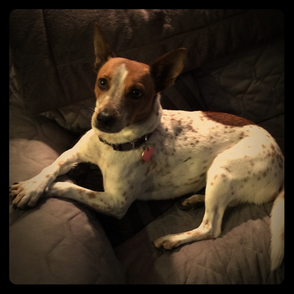 Meet your Posher, Laura