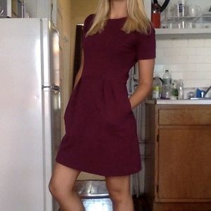 Madewell waist defining dress in maroon/purple