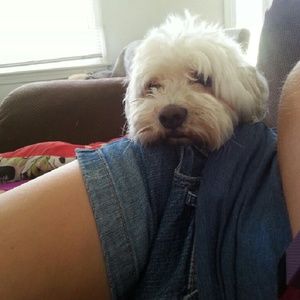 Meet your Posher, Danielle