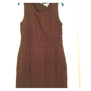 Coldwater Creek Size 10 Brown eyelet dress