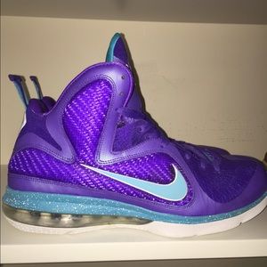 Lebron 9 Hornet