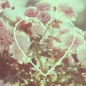 Meet your Posher, Naomi