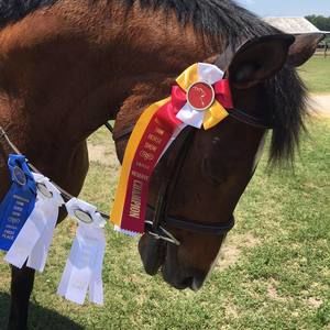 Meet your Posher, Faith