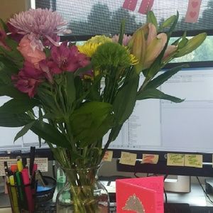 Meet your Posher, Terrell