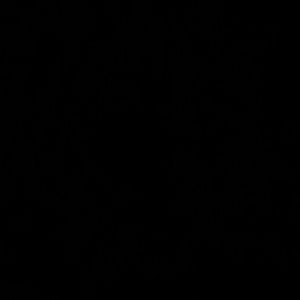 Meet your Posher, Joaquina