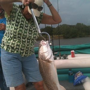 Meet your Posher, Donna