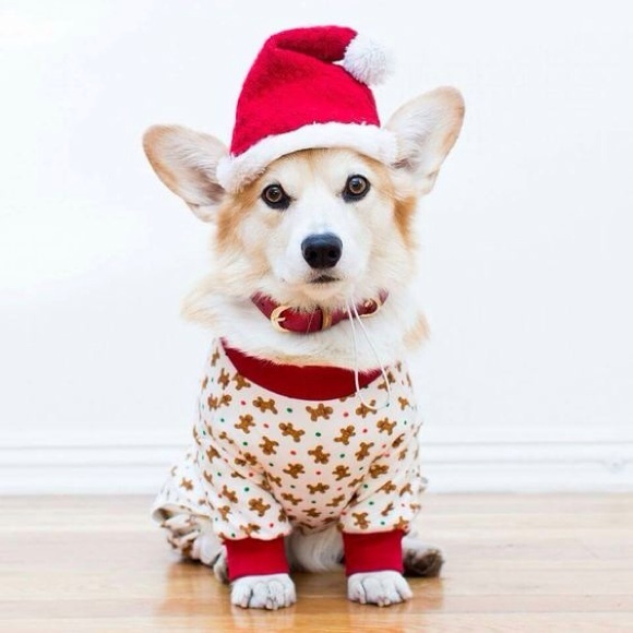 Merry Clothesmas!