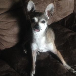 Meet your Posher, Tracy