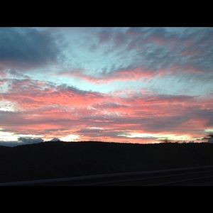 Meet your Posher, Lizzy