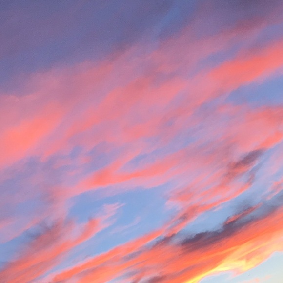 Meet your Posher, Bri - Picture 1 of 1