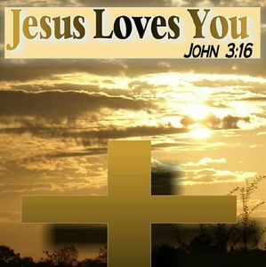 Meet your Posher, Katrina