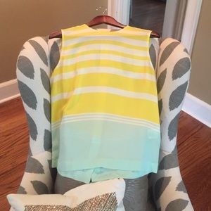 Equipment Silk Sleeveless Striped Blouse Worn Once