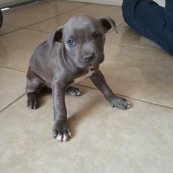 Meet your Posher, Marisa - Picture 1 of 1