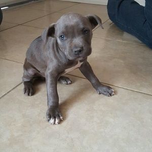 Meet your Posher, Marisa