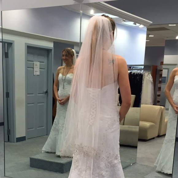 Wedding Veil