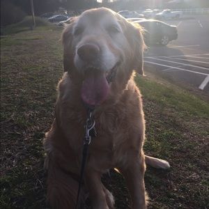 Meet your Posher, Jamie