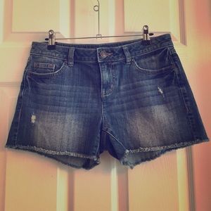 LC Lauren Conrad Denim Cutoff Shorts