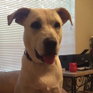 Meet your Posher, Kaitlin