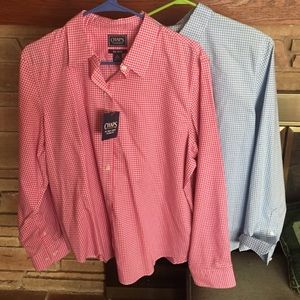 Chap Button Down Bundle