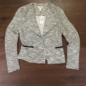 Ann Taylor Loft Sweater