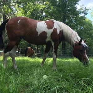 Meet your Posher, Catherine